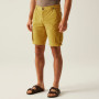 Spodenki męskie Regatta Shorebay Shorts II