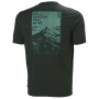Koszulka męska Helly Hansen Skog Graphic T-Shirt