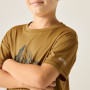 T-shirt dziecięcy Regatta Alvarado Wood Brown