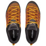 Buty męskie Salewa Ms Mtn Trainer Lite