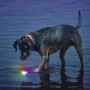 Zabawka dla psa Nite Ize Glowstreak LED Ball