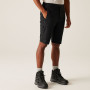 Męskie szorty Regatta Highton Shorts Long II