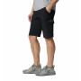 Męskie szorty Columbia Silver Ridge™ II Cargo Short czarny black