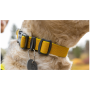 Obroża dla psa Ruffwear Hi & Light™ Collar