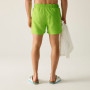 Męski strój kąpielowy Regatta Mawson Swim Shorts III