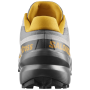 Buty męskie Salomon Speedcross 6 20 Years