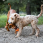 Zabawka dla psa Explorer Dog AirBall 6,5 cm