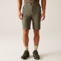 Męskie szorty Regatta Highton Shorts Long II