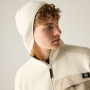 Bluza męska Dare 2b Firn Hooded Borg Fleece