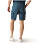 Męskie szorty Regatta Ruwan Shorts