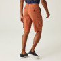 Męskie szorty Regatta Shorebay Short