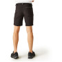 Męskie szorty Regatta Xert Stretch Shorts III