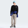 Bluza męska The North Face M Evolution Box Nse Regular Crew