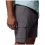 Spodenki męskie Columbia Silver Ridge™ Utility Cargo Short