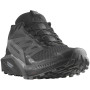 Damskie buty do biegania Salomon Sense Ride 5 Gore-Tex czarny Black / Magnet / Black