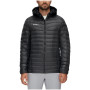 Kurtka męska Mammut Albula IN Hooded Jacket Men 2021