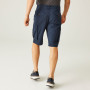 Męskie szorty Regatta Shorebay Short