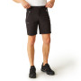 Męskie szorty Regatta Xert Stretch Shorts III