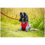 Szelki dla psa Mountain Paws Dog Harness