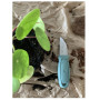 Nóż Morakniv Eldris LightDuty (S)