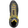 Buty męskie Salewa MS Alp Trainer MID GTX