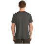 Męska koszulka Icebreaker Merino Blend Core SS Tee Single Line Camp
