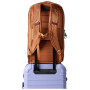 Plecak Cotopaxi Allpa 26L Daypack