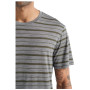 Koszulka męska Icebreaker Mens Wave SS Tee Stripe
