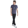 Męska koszulka Icebreaker Men Merino Core SS Tee Waschbar Wandering