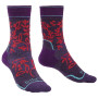 Damskie skarpety Bridgedale Hike MW MP Boot Women's