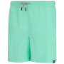 Spodenki męskie Regatta Mackleyna Swim Short
