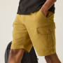 Spodenki męskie Regatta Ruwan Shorts