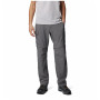 Spodnie męskie Columbia Silver Ridge™ Utility Convertible Pant