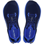 Buty do biegania dla mężczyzn Altra M Lone Peak 9+