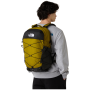 Miejski plecak The North Face Borealis