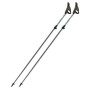 Kijek Nordic walking Fizan NW Carbon Pro Impulse