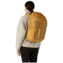 Plecak Patagonia Black Hole Pack 32L
