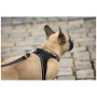 Smycz dla psa Curli Adjustable Leash Nylon