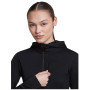 Bluza damska Icebreaker Women Merino Blend 200 RealFleece™ Descender LS Zip Hoodie