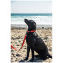 Smycz dla psa Mountain Paws Waterproof Dog Lead
