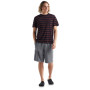 Koszulka męska Icebreaker Mens Wave SS Tee Stripe