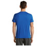 Koszulka męska Icebreaker Men Merino 150 Tech Lite SS Tee Range Stripes