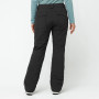 Damskie spodnie narciarskie Salomon Edge Pant W