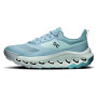 Damskie buty turystyczne On Running Cloudhorizon 2