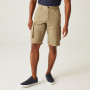 Męskie szorty Regatta Shorebay Short