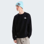 Bluza męska The North Face M Evolution Box Nse Regular Crew