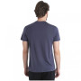 Męska koszulka Icebreaker Men Merino Core SS Tee Waschbar Wandering