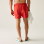 Męski strój kąpielowy Regatta Mawson Swim Shorts III