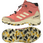 Buty dziecięce Adidas Terrex Mid Gtx K 2024