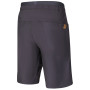 Spodenki męskie Direct Alpine Solo Shorts 3.0